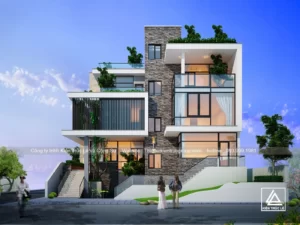 Thiết kế sân vườn