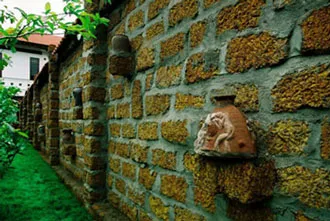 Thiết kế sân vườn