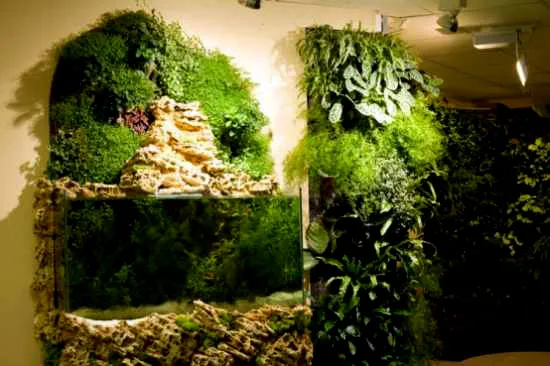 Lớp Vỏ Thiên Nhiên – Vườn Đứng