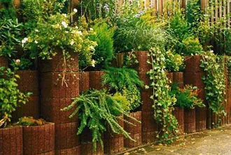Thiết kế sân vườn