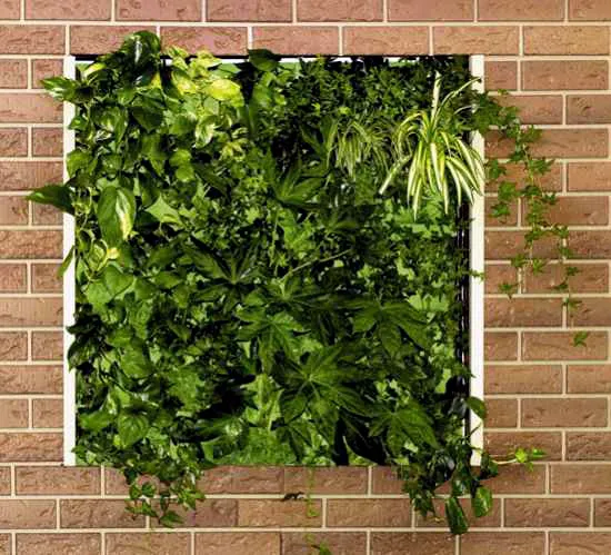 Lớp Vỏ Thiên Nhiên – Vườn Đứng